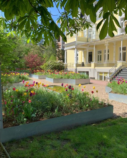 Teile des Blumengartens der Klinik am Korso - im Hintergrund ist ein Teil eines Klinikgebäudes zu sehen