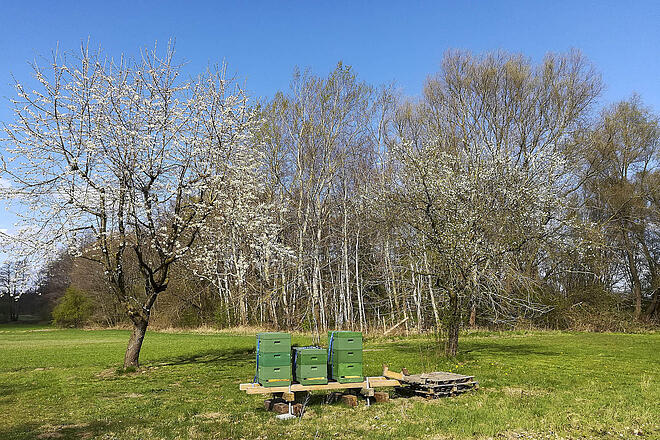 Naturkindergarten Oststeinbek Naturkindergarten Oststeinbek