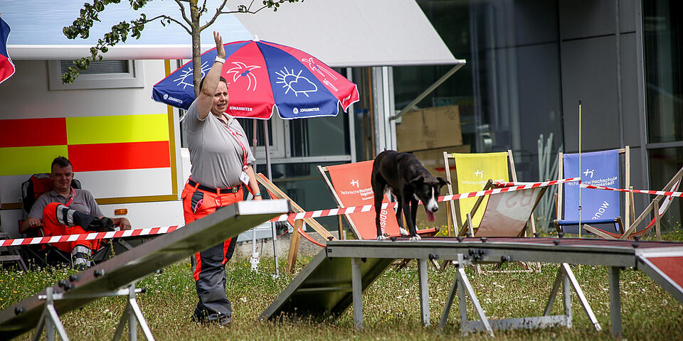 Schwarzer Hund balanciert über Hindernis, Rettungshundeführerin hebt die Hand.