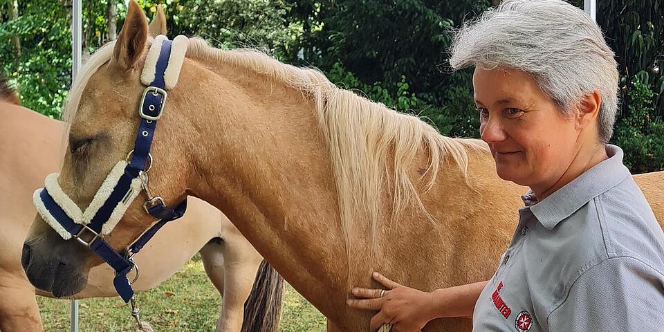 Bild mit Pferd