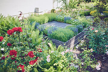 Bunte Blumen wachsen in Beeten und Hochbeeten am Johanniterhaus