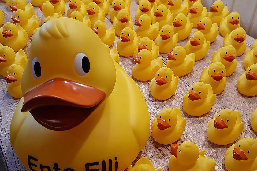 Ente Elli 