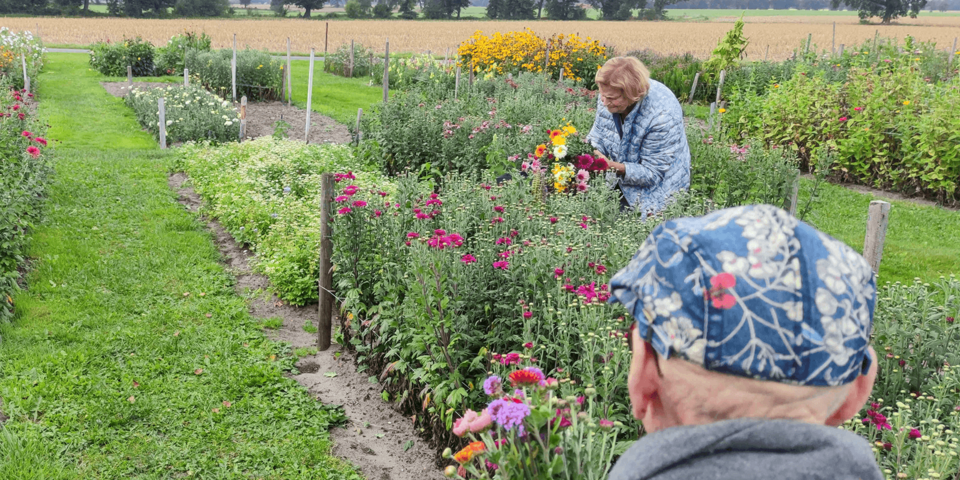 Eine Frau steht in einem Blumengarten und pflückt Blumen. Ein Mann ist von hinten zu sehen, wie er ihr zusieht.