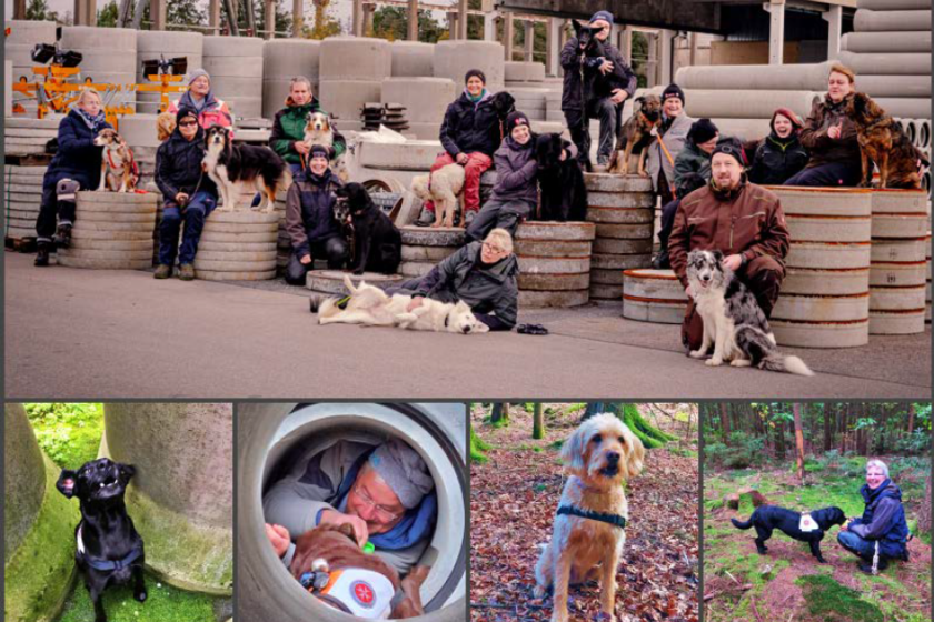 Collage aus mehreren Bildern: Mitglieder der Johanniter-Rettungshundestaffel Mittelfranken trainieren mit ihren Suchhunden auf einem Baustofflager und im Wald. Die Fotos zeigen die Teams bei unterschiedlichen Übungen, Gruppenfotos mit Mensch und Hund sowie erfolgreiche Suchaktionen.