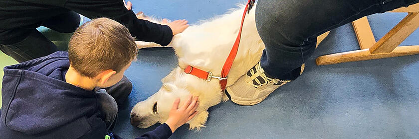 Ein weißer Hund liegt entspannt auf dem Boden, während zwei Kinder ihn liebevoll streicheln.