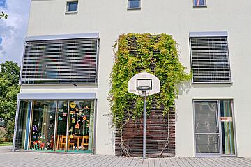 Fassade einer Kita mit großem Fenster, Rankpflanzen an der Wand und einem Basketballkorb im Außenbereich.