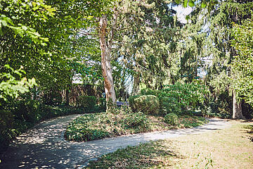 Schön angelegter Gartenweg im Johanniter-Haus Sinzig