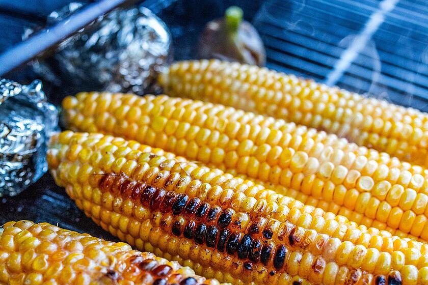 Maiskolben liegen auf einem Grill.