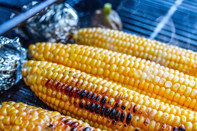 Maiskolben liegen auf einem Grill.