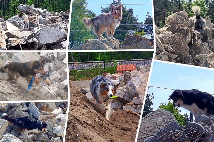 Trümmersuchhunde und Teams der Johanniter-Rettungshundestaffel trainieren in Trümmerhaufen unter realen Bedingungen