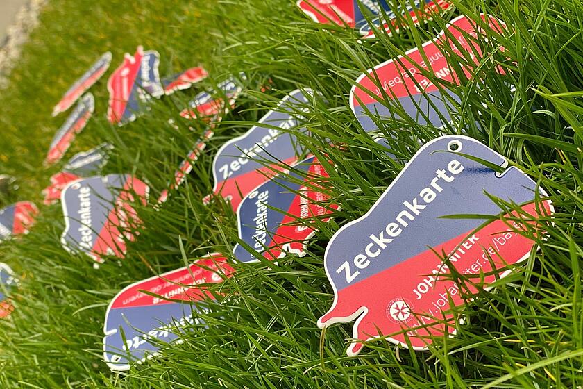 Zeckenkarten der Johanniter liegen zur Deko im Gras