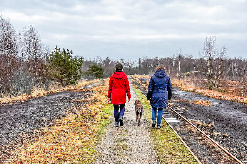 Zwei Menschen spazieren durch eine Landschaft mit einem Hund.
